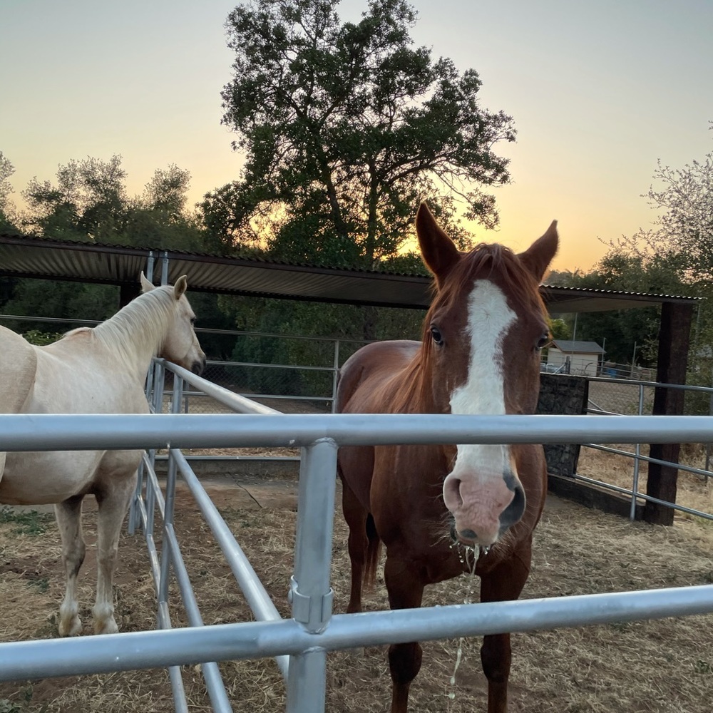 Meet your Posher, Marguerite